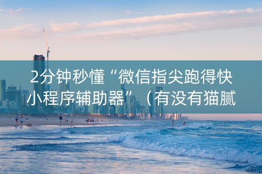 2分钟秒懂“微信指尖跑得快小程序辅助器”（有没有猫腻)