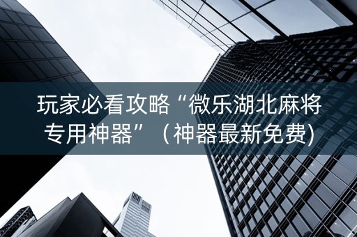 玩家必看攻略“微乐湖北麻将专用神器”（神器最新免费)
