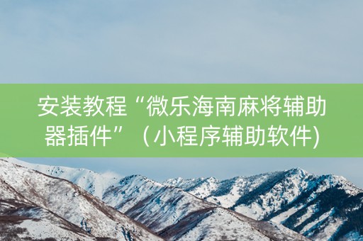 安装教程“微乐海南麻将辅助器插件”（小程序辅助软件)