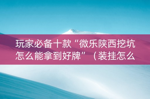 玩家必备十款“微乐陕西挖坑怎么能拿到好牌”（装挂怎么安装)