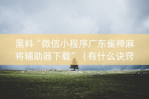 黑料“微信小程序广东雀神麻将辅助器下载”（有什么诀窍)