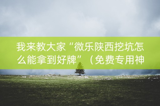 我来教大家“微乐陕西挖坑怎么能拿到好牌”（免费专用神器)