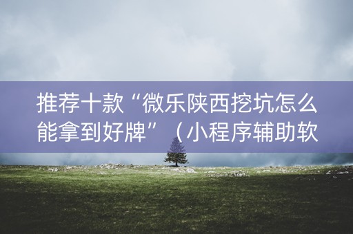 推荐十款“微乐陕西挖坑怎么能拿到好牌”（小程序辅助软件)
