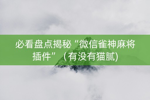 必看盘点揭秘“微信雀神麻将插件”（有没有猫腻)