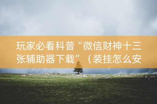 玩家必看科普“微信财神十三张辅助器下载”（装挂怎么安装)