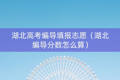 湖北高考编导填报志愿（湖北编导分数怎么算）