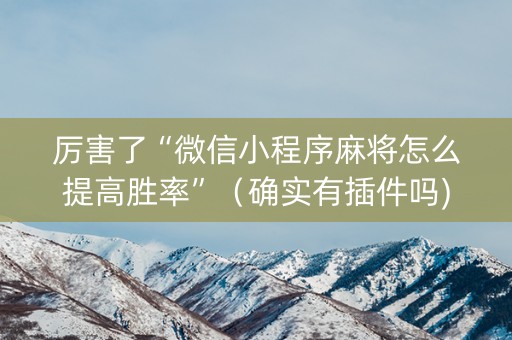 厉害了“微信小程序麻将怎么提高胜率”（确实有插件吗)