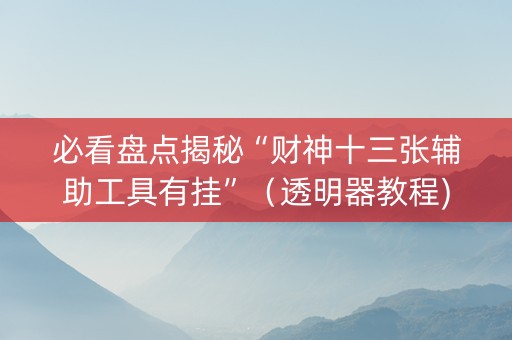 必看盘点揭秘“财神十三张辅助工具有挂”（透明器教程)