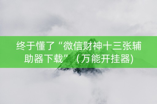 终于懂了“微信财神十三张辅助器下载”（万能开挂器)
