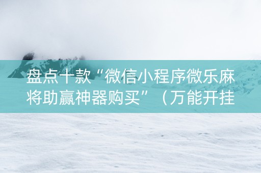 盘点十款“微信小程序微乐麻将助赢神器购买”（万能开挂器)