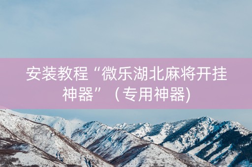 安装教程“微乐湖北麻将开挂神器”（专用神器)
