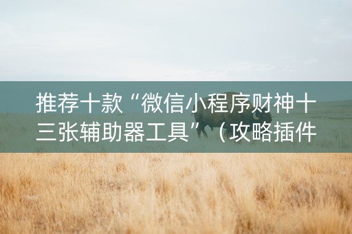 推荐十款“微信小程序财神十三张辅助器工具”（攻略插件)