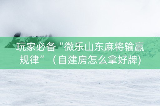 玩家必备“微乐山东麻将输赢规律”（自建房怎么拿好牌)