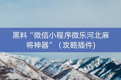 黑料“微信小程序微乐河北麻将神器”（攻略插件)