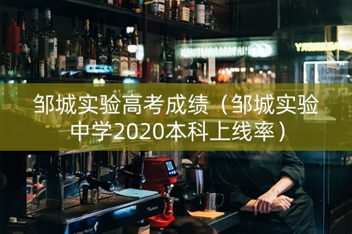 邹城实验高考成绩（邹城实验中学2020本科上线率）