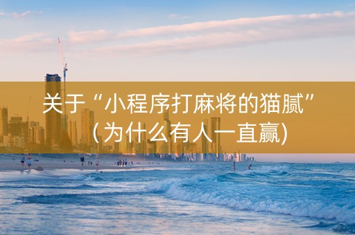 关于“小程序打麻将的猫腻”（为什么有人一直赢)