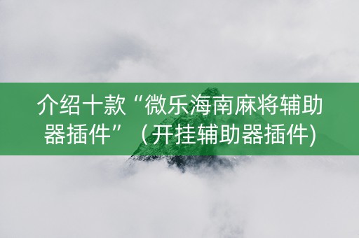 介绍十款“微乐海南麻将辅助器插件”（开挂辅助器插件)