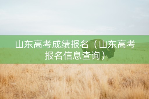 山东高考成绩报名（山东高考报名信息查询）