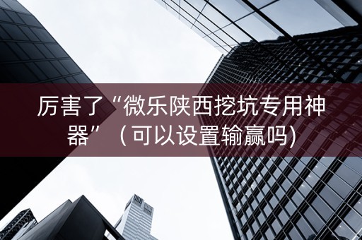 厉害了“微乐陕西挖坑专用神器”（可以设置输赢吗)