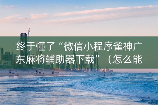 终于懂了“微信小程序雀神广东麻将辅助器下载”（怎么能得到好牌)