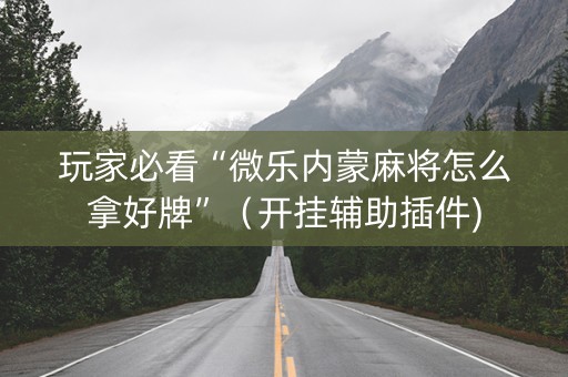 玩家必看“微乐内蒙麻将怎么拿好牌”（开挂辅助插件)