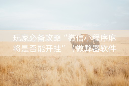 玩家必备攻略“微信小程序麻将是否能开挂”（做弊器软件下载)