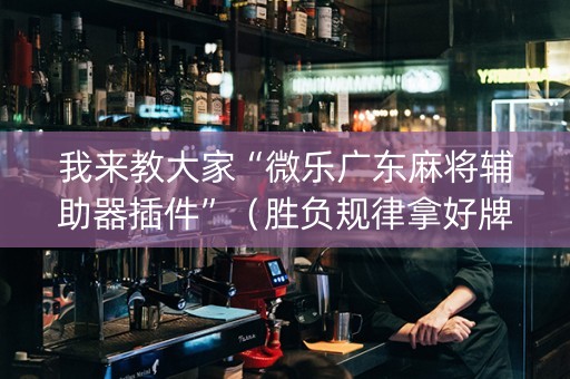 我来教大家“微乐广东麻将辅助器插件”（胜负规律拿好牌)