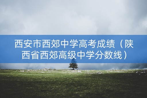 西安市西郊中学高考成绩（陕西省西郊高级中学分数线）