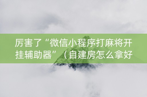 厉害了“微信小程序打麻将开挂辅助器”（自建房怎么拿好牌)