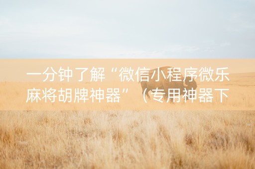 一分钟了解“微信小程序微乐麻将胡牌神器”（专用神器下载)