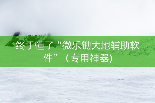 终于懂了“微乐锄大地辅助软件”（专用神器)
