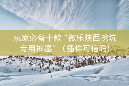 玩家必备十款“微乐陕西挖坑专用神器”（插件可信吗)