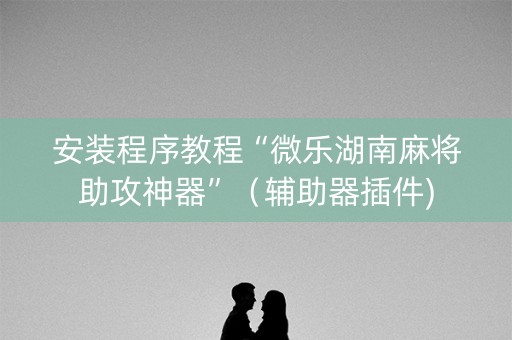 安装程序教程“微乐湖南麻将助攻神器”（辅助器插件)