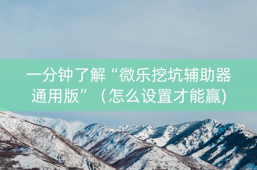 一分钟了解“微乐挖坑辅助器通用版”（怎么设置才能赢)