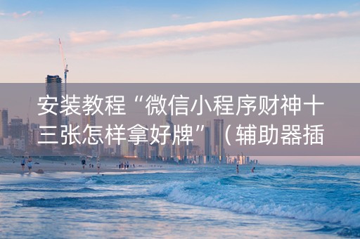 安装教程“微信小程序财神十三张怎样拿好牌”（辅助器插件)