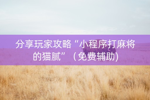 分享玩家攻略“小程序打麻将的猫腻”（免费辅助)