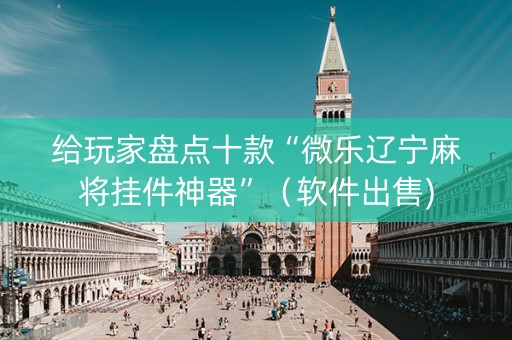 给玩家盘点十款“微乐辽宁麻将挂件神器”（软件出售)