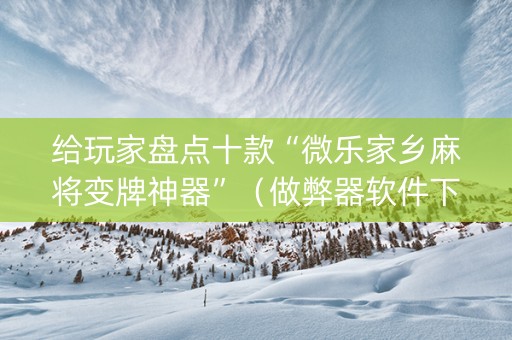 给玩家盘点十款“微乐家乡麻将变牌神器”（做弊器软件下载)