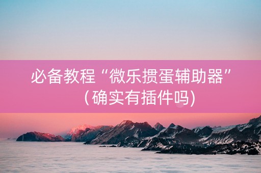 必备教程“微乐掼蛋辅助器”（确实有插件吗)