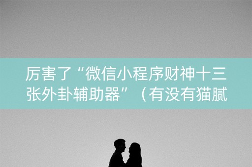 厉害了“微信小程序财神十三张外卦辅助器”（有没有猫腻)