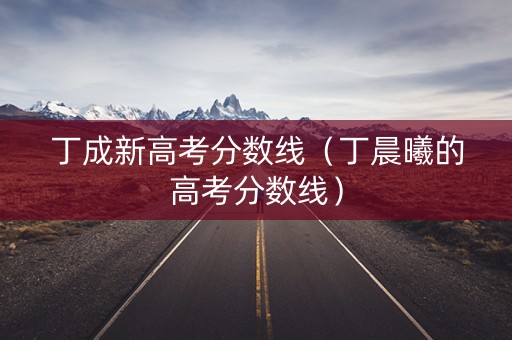 丁成新高考分数线（丁晨曦的高考分数线）