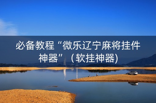 必备教程“微乐辽宁麻将挂件神器”（软挂神器)
