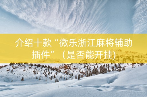 介绍十款“微乐浙江麻将辅助插件”（是否能开挂)