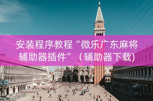 安装程序教程“微乐广东麻将辅助器插件”（辅助器下载)
