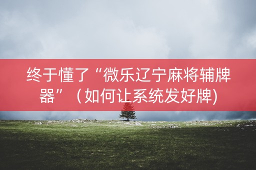 终于懂了“微乐辽宁麻将辅牌器”（如何让系统发好牌)