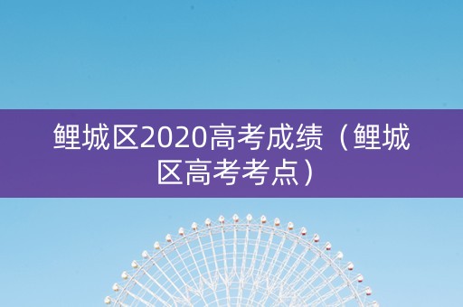 鲤城区2020高考成绩（鲤城区高考考点）