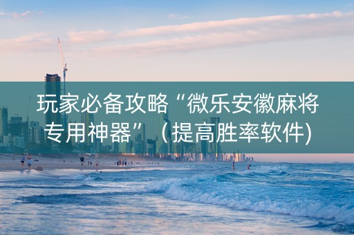 玩家必备攻略“微乐安徽麻将专用神器”（提高胜率软件)