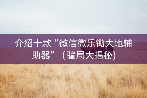 介绍十款“微信微乐锄大地辅助器”（骗局大揭秘)