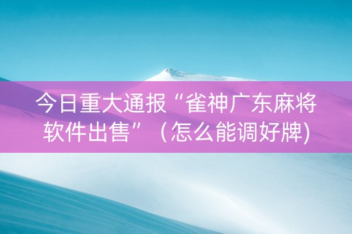 今日重大通报“雀神广东麻将软件出售”（怎么能调好牌)