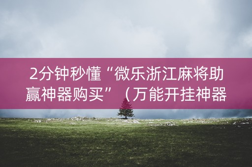 2分钟秒懂“微乐浙江麻将助赢神器购买”（万能开挂神器)